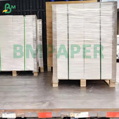 100lb 270gsm Λευκό Ακατέργαστο Λείο Bristol Board 22" x 30"