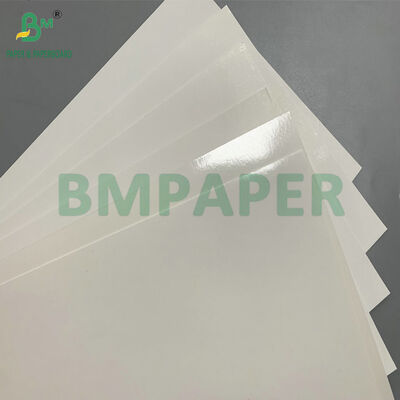 High Stiffness Single Side Laminated 275gsm 295gsm C1S PE Coated White Cardboard  for Ice Cream & Frozen Food