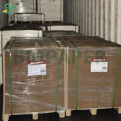 1700um Kraft Linered Boxboard Για στρώμα Pad 920 X 1050mm Φυτικό πλάνο 1650gsm