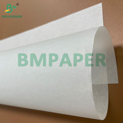 Καλή ομαλότητα 40GSM Jumbo Roll Greaseproof Paper Λευκό για συσκευασία σάντουιτς
