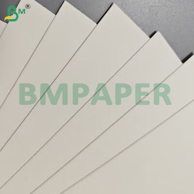 Φύλλα χάρτινων δοχείων τροφίμων Grade Food 190gsm + Επικάλυψη PE