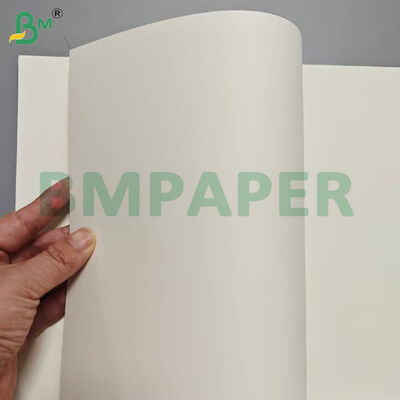 Φύλλα χάρτινων δοχείων τροφίμων Grade Food 190gsm + Επικάλυψη PE